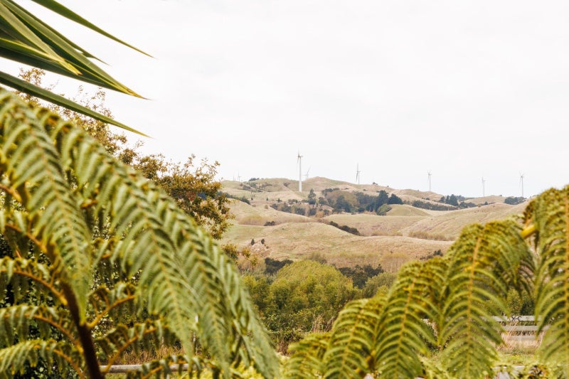 221 The Terrace, Ashhurst, Ashhurst - Carousel 31