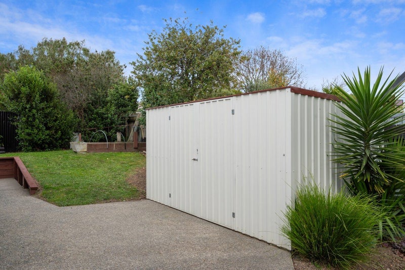 9B Oudenarde Street, Renwick - Carousel 17