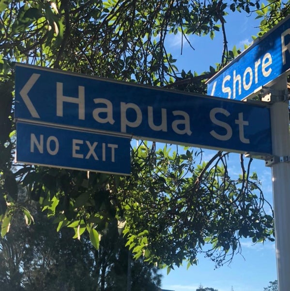 59 Hapua Street, Remuera, Auckland - Carousel 14