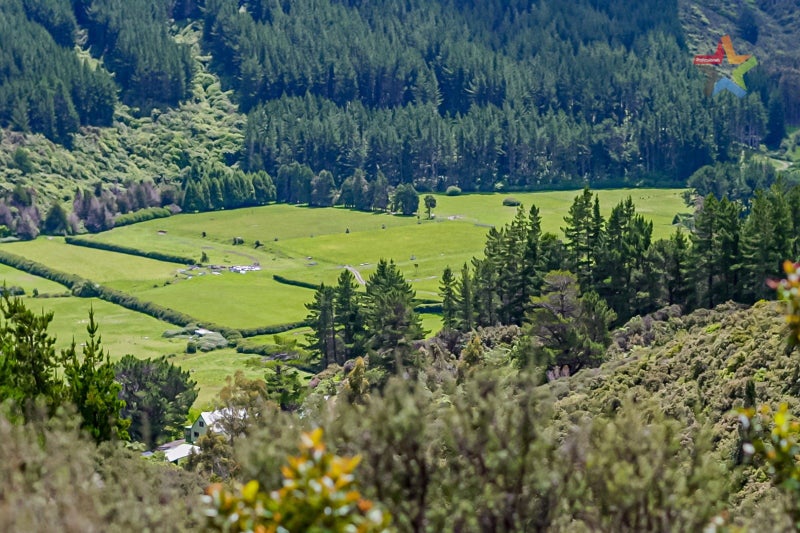 1342F Akatarawa Road, Akatarawa, Upper Hutt - Carousel 1