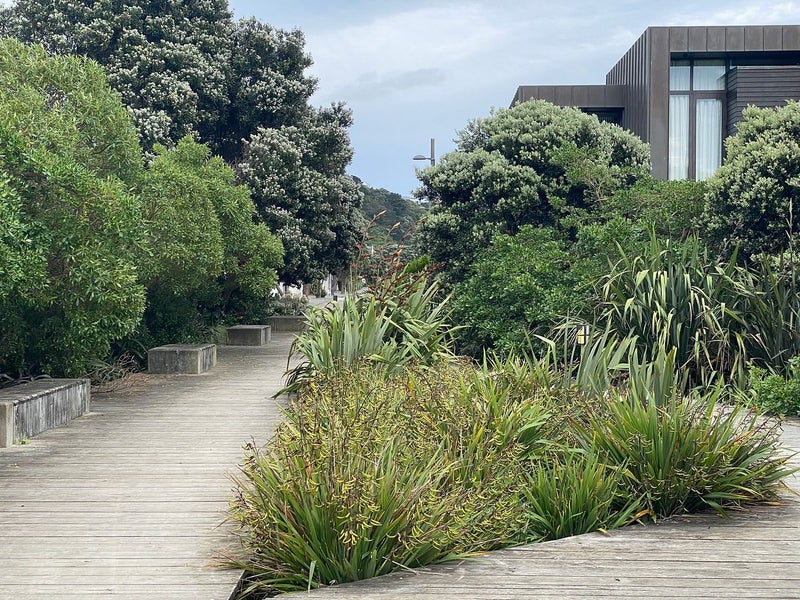 7 Steeple Lane, Seatoun, Wellington - Carousel 22