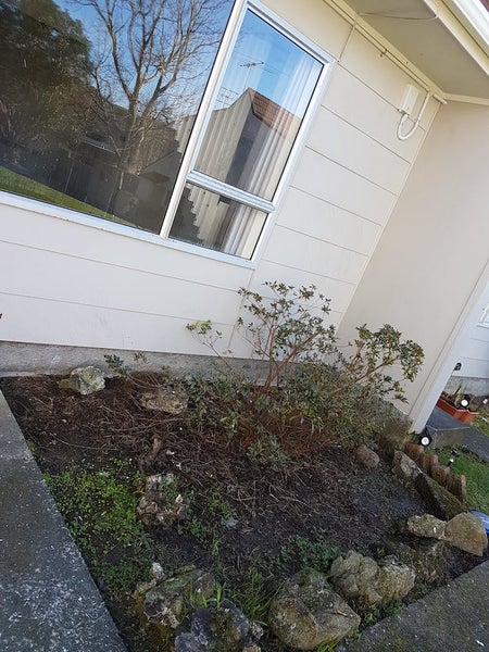 31E Pharazyn Street, Melling, Lower Hutt - Carousel 1