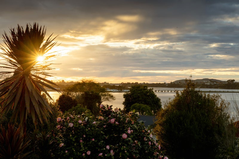 41 Hampton Terrace, Parkvale, Tauranga - Carousel 1