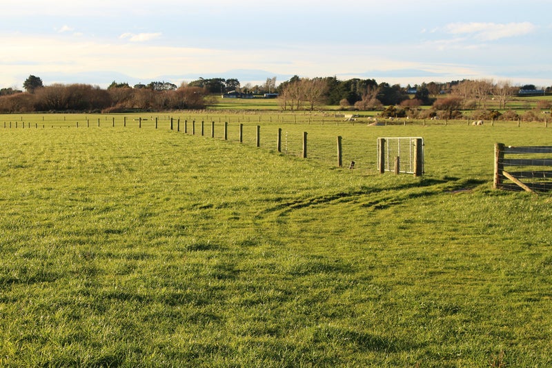 280 Findlay Road, Ascot, Invercargill - Carousel 2
