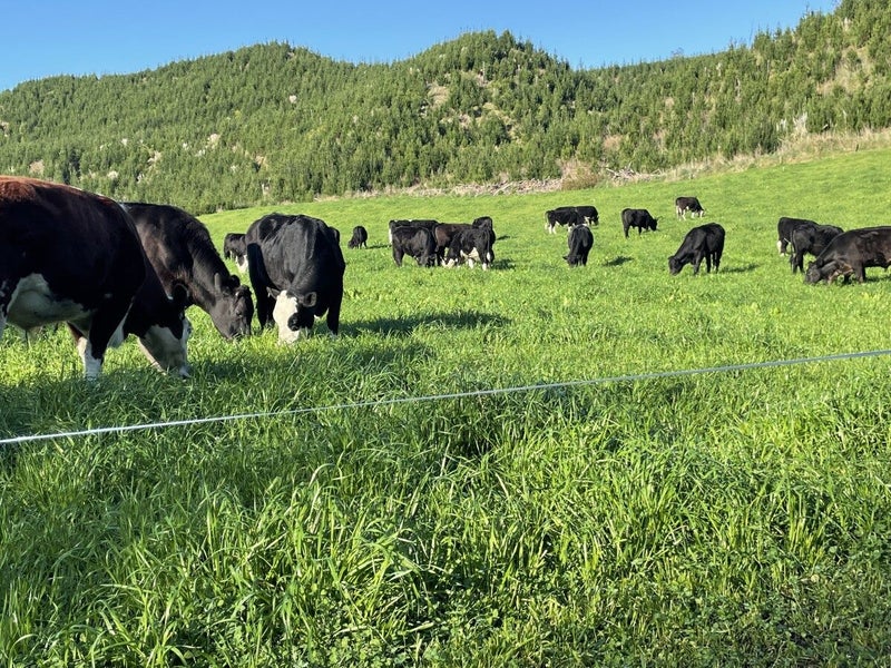 280 Mystery Valley Road, Te Puke - Carousel 5