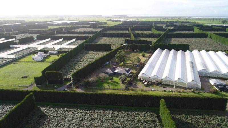 187 Kelly Road, Te Puke - Carousel 32