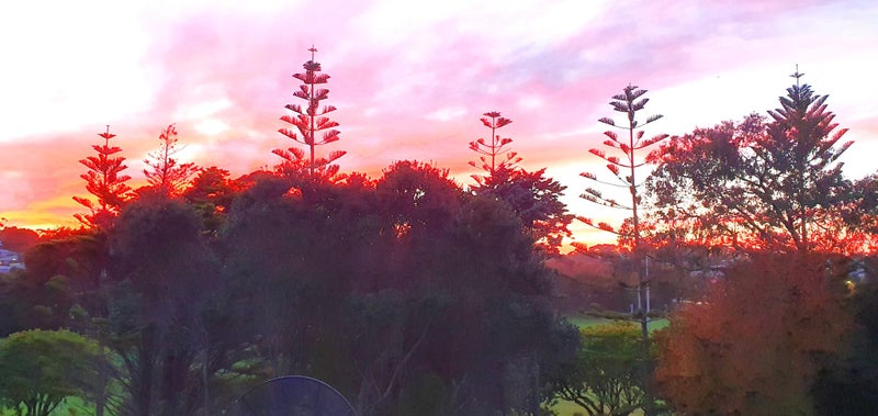 98 Sycamore Drive, Sunnynook, Auckland - Carousel 18