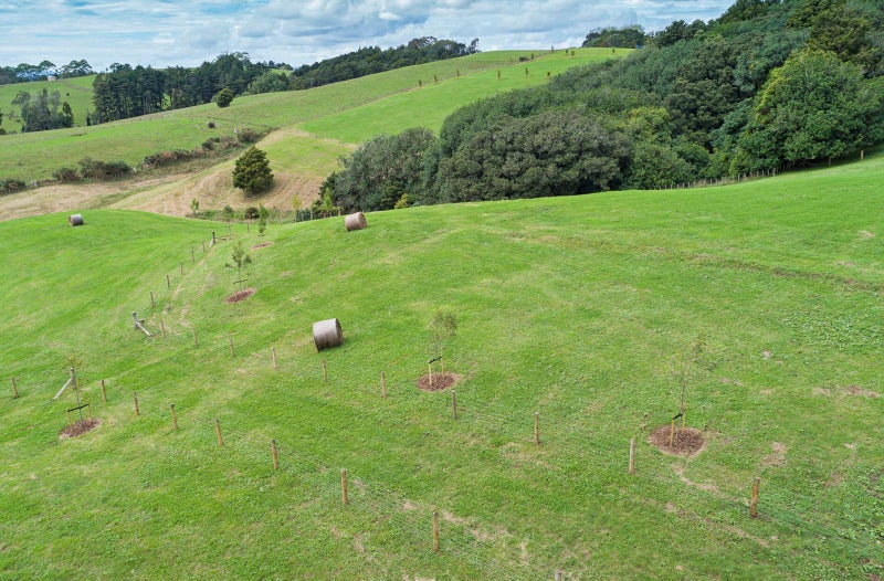 8 Donald Gavin WAY, Paerata, Pukekohe - Carousel 10