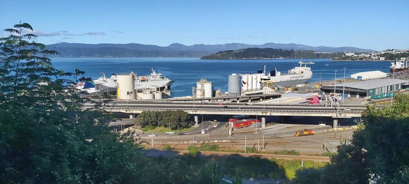 27 Sar Street, Wadestown, Wellington - Carousel 9