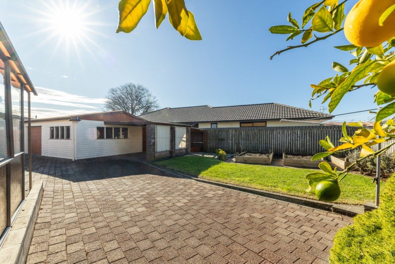 16 Palmer Place, Parkvale, Hastings - Carousel 2