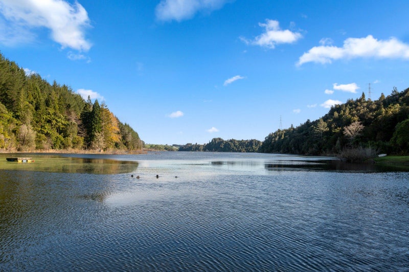 41 Tombleson Road, Lake Rotoma, Rotorua - Carousel 16