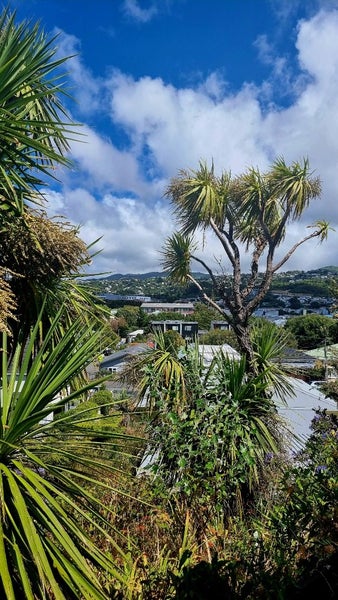 69/46 Hiropi Street, Newtown, Wellington - Carousel 13