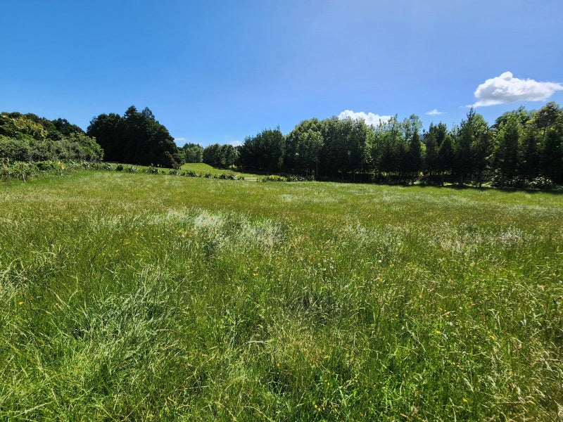 118 Wrights Road, RAGLAN, Raglan - Carousel 2