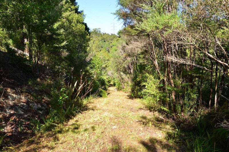 125 The Avenue, Lucas Heights, Auckland - Carousel 2