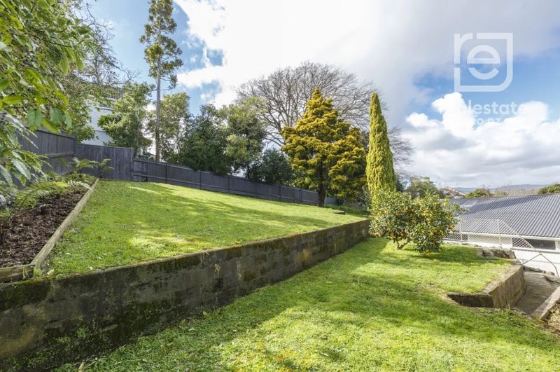 42 Alfred Street, Roslyn, Palmerston North - Carousel 14