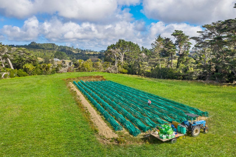 165 Annett Road, Kumeu - Carousel 1