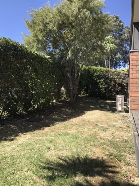 32A Norcross Avenue, Henderson, Auckland - Carousel 14