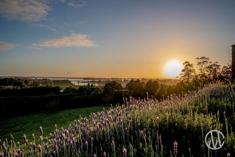 71 Emeny Road, Tauranga - Carousel 20