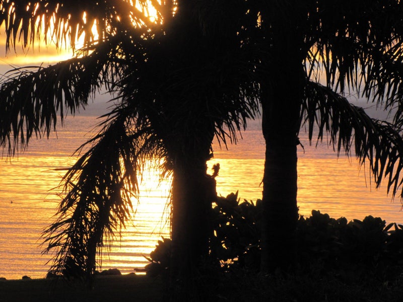 101 Prices Avenue, Thames - Carousel 39