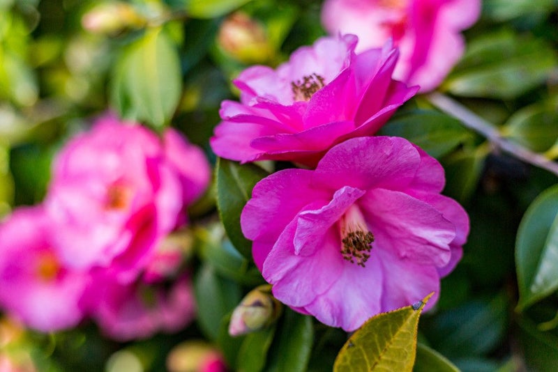 15 Kiriwai Road, Paremata, Porirua - Carousel 22