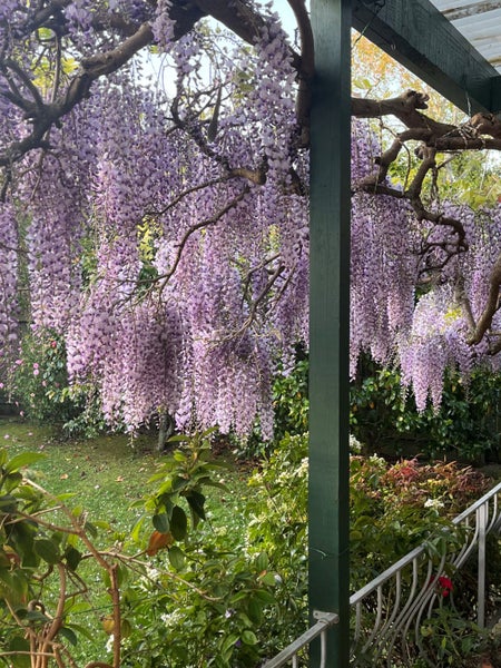 105 Weatherly Road, Torbay, Auckland - Carousel 25