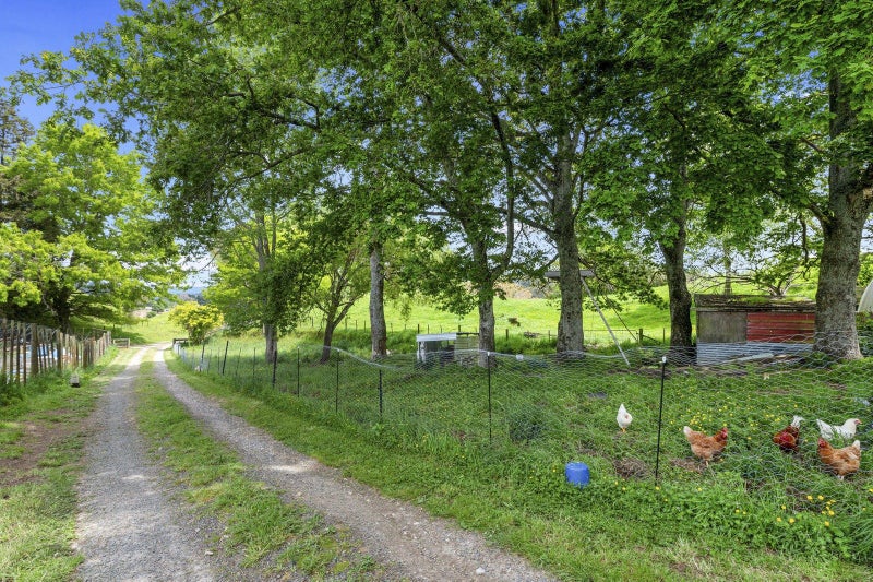 857A Poutakataka Road, Rotorua - Carousel 34