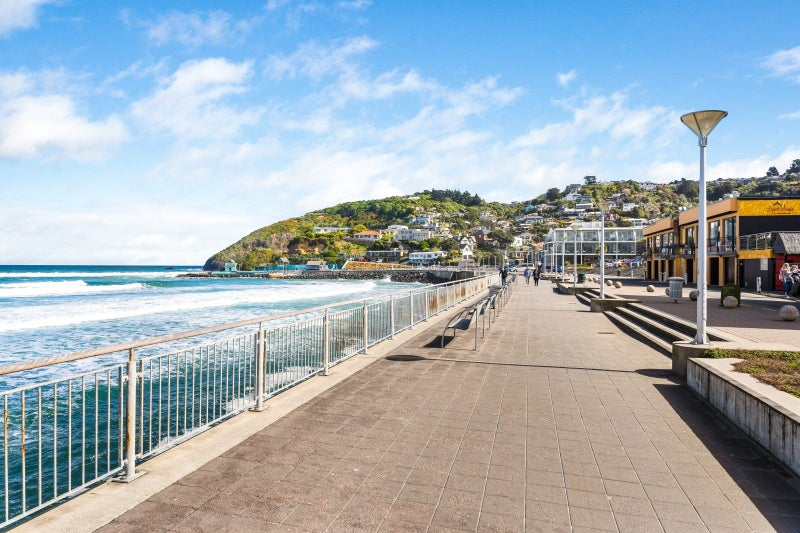 13 Highgrove, Saint Clair, Dunedin - Carousel 6