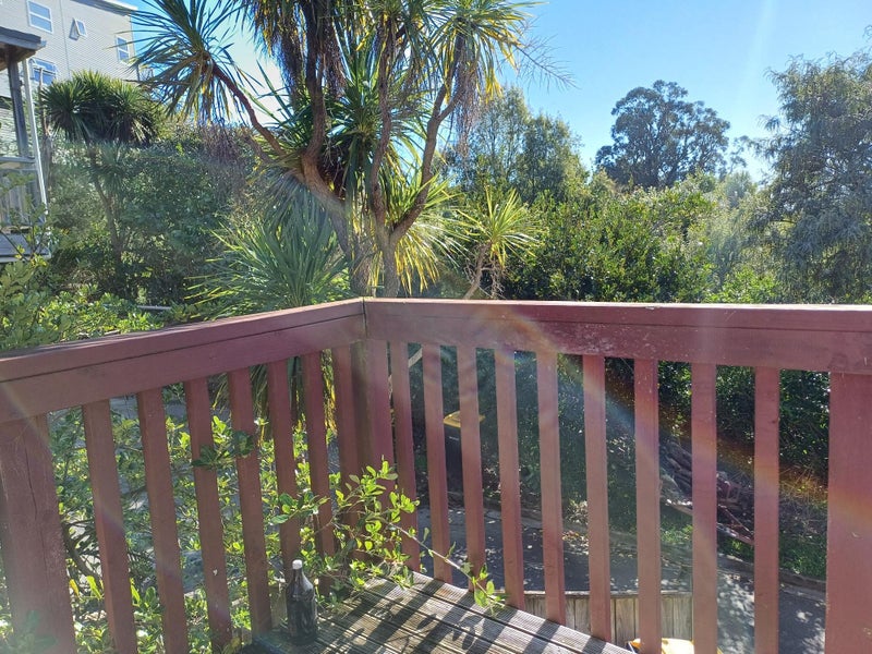 62 Wolfe Street, Washington Valley, Nelson - Carousel 12