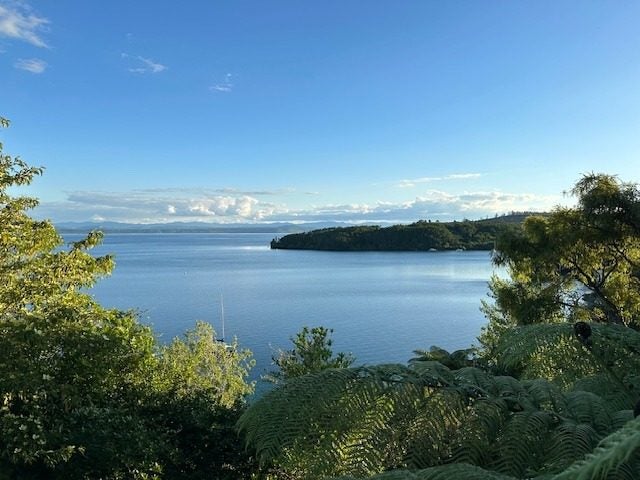 1/834 Wily Terrace, Acacia Bay, Taupo - Carousel 2