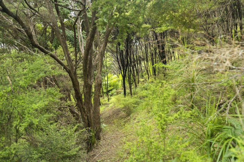 54C Harambee Road, Onerahi - Carousel 35