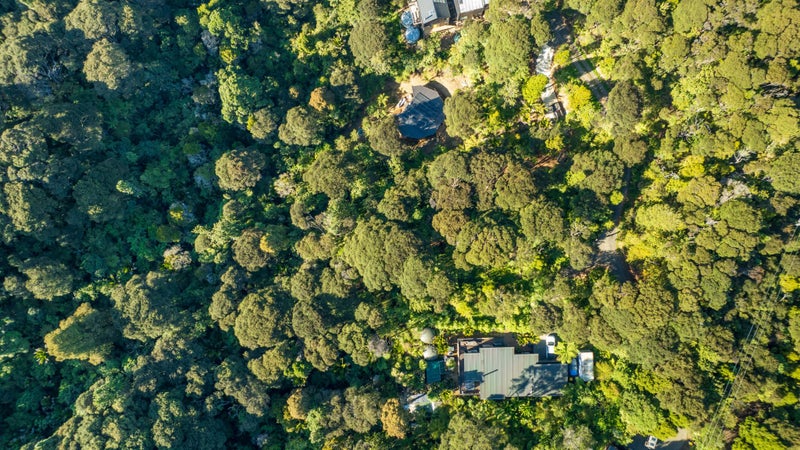 19 Hayes Road, Henderson Valley, Auckland - Carousel 2