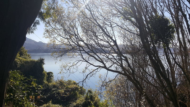 8 Gwyn Street, Broad Bay, Dunedin - Carousel 1