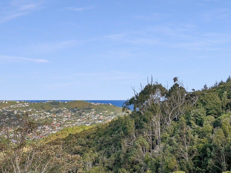 16 Halifax Street, Kingston, Wellington - Carousel 2