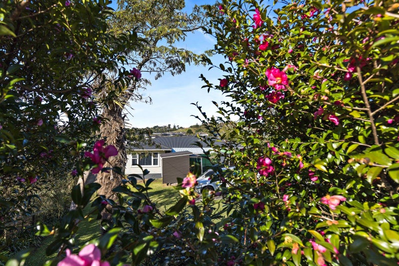 5 Wech Drive, Warkworth, Warkworth - Carousel 21