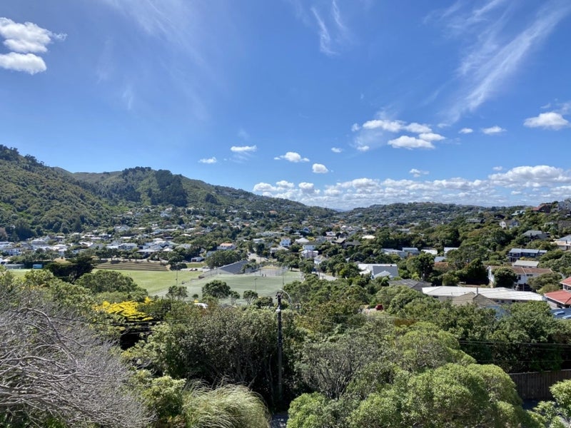 8 Punjab Street, Khandallah, Wellington - Carousel 12