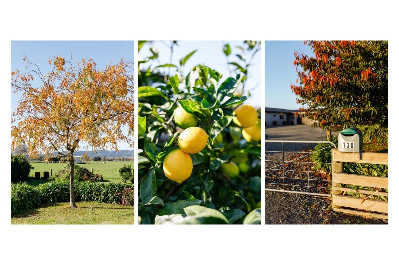 130 Fermah Road, Whakatane - Carousel 28