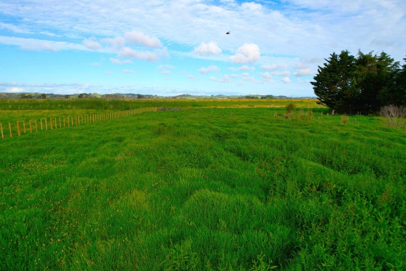 0 Pouto Road, Pouto - Carousel 14