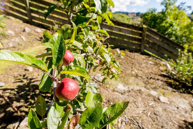 27 Prosser Street, Green Island, Dunedin - Carousel 15