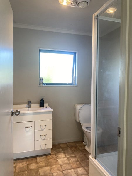 100A Fairfield Road, Fairfield, Hamilton - Carousel 10