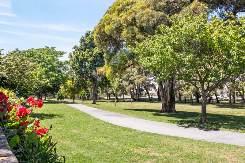 68A TOM PARKER Avenue, MAREWA, NAPIER - Carousel 15