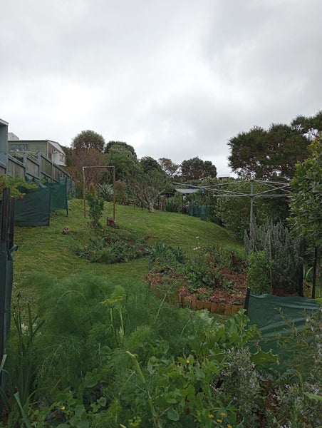 10 Ogilvy Terrace, Plimmerton, Porirua - Carousel 19