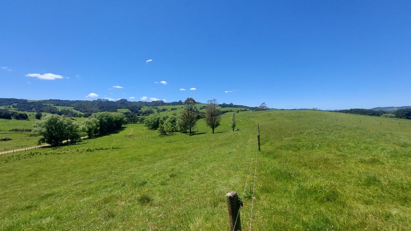 0 Hukerenui Road, Hukerenui, Hikurangi - Carousel 20