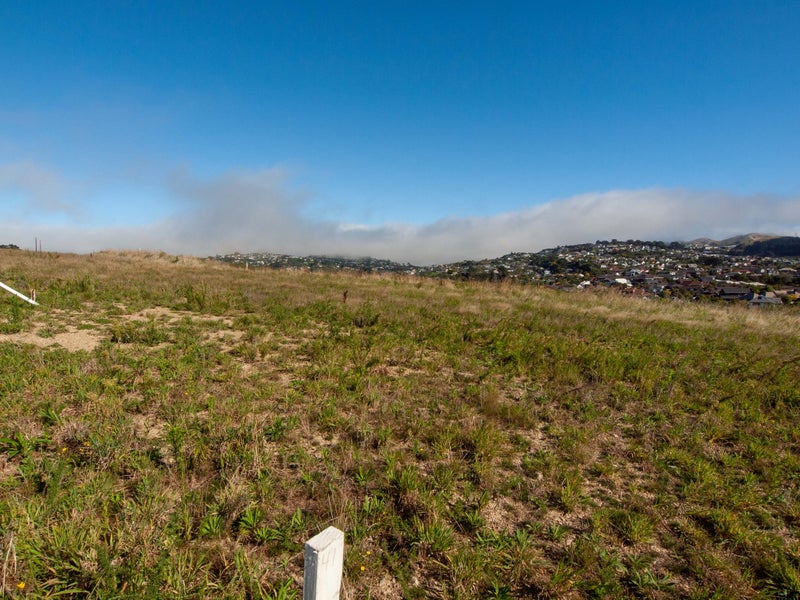 50 Farnworth Terrace, Glenside, Wellington - Carousel 2