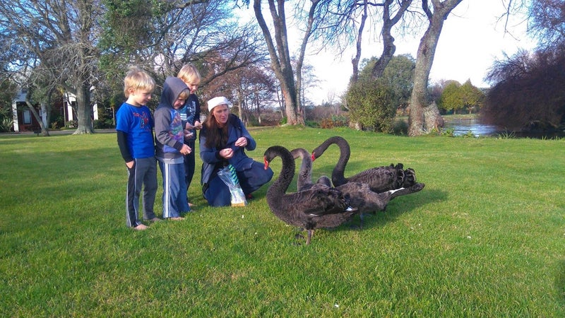 6/1420 Hamurana Road, Mourea, Rotorua - Carousel 30