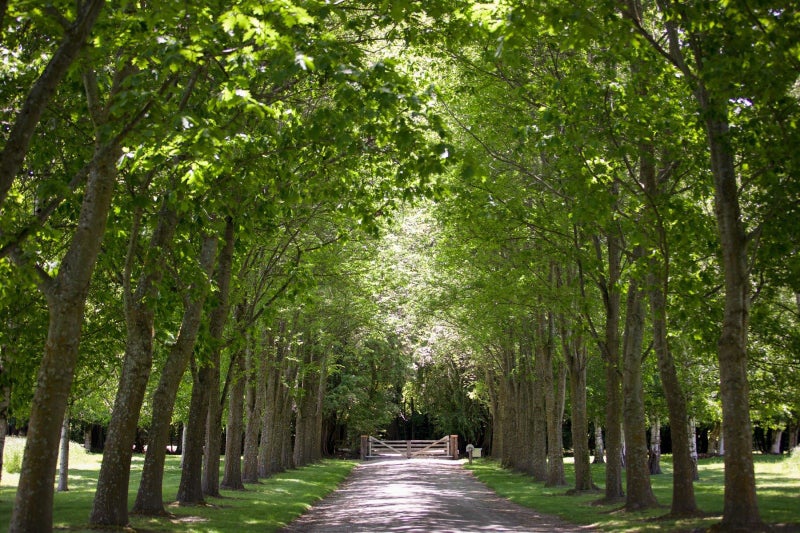 8/188 Domain Road, Queenstown - Carousel 11