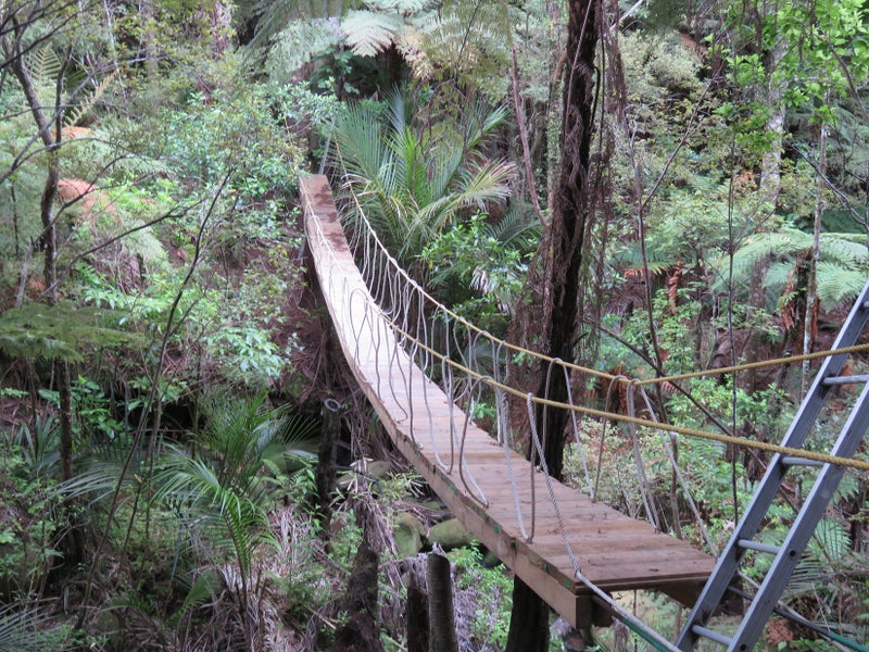 950 Matakana Valley Road, Whangaripo, Wellsford - Carousel 2