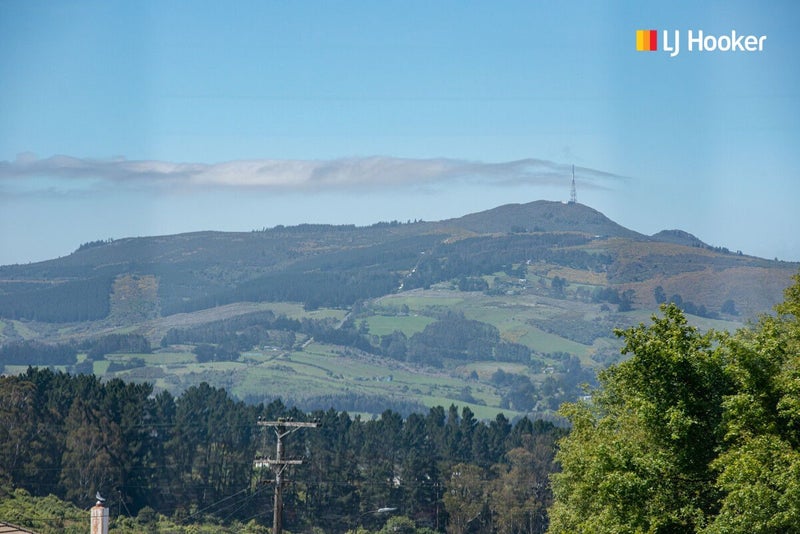 10 McCurdy Street, Brockville, Dunedin - Carousel 28