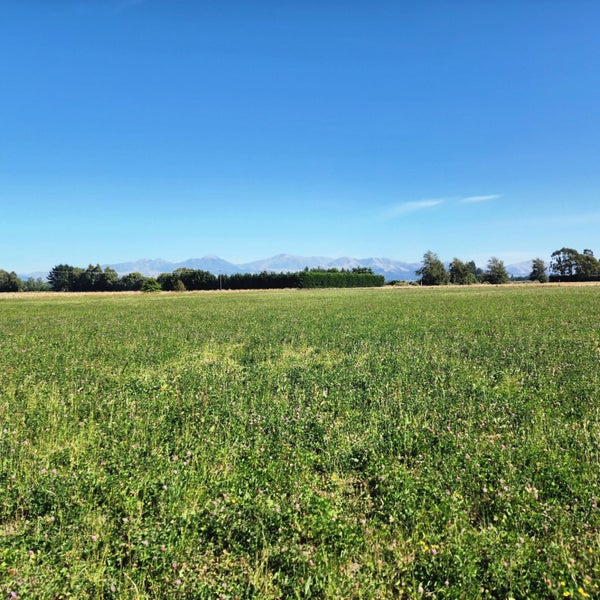 0 Tripp Settlement Road, Orari Bridge, Geraldine - Carousel 4