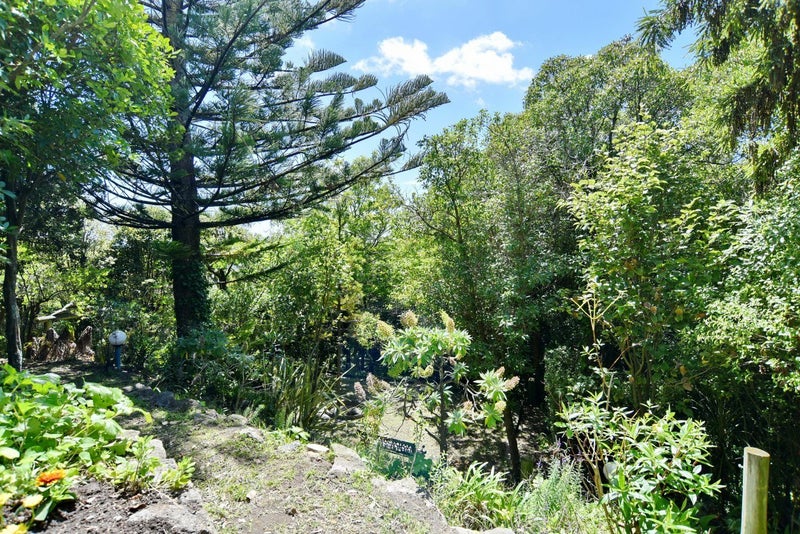 215A Mount Pleasant Road, Mount Pleasant, Christchurch - Carousel 50