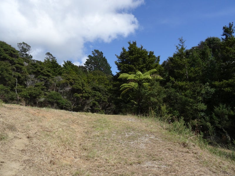 40 Brick Bay Drive, Sandspit, Warkworth - Carousel 20